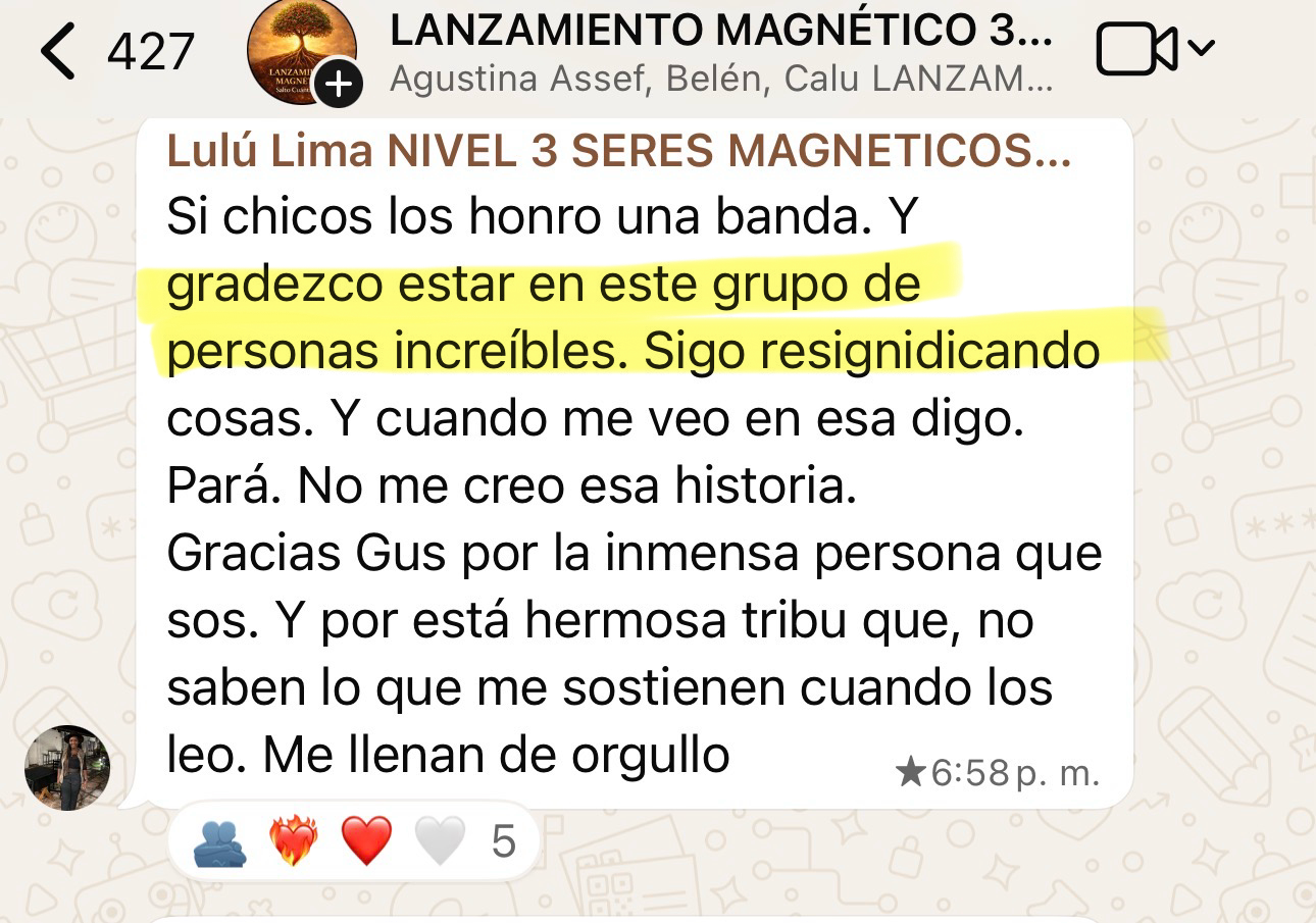 Testimonio real de Lanzamiento Magnético 13