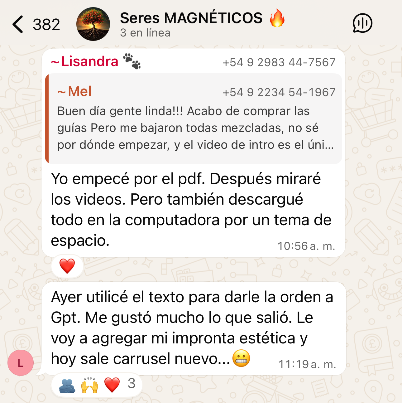 Testimonio comunidad 5